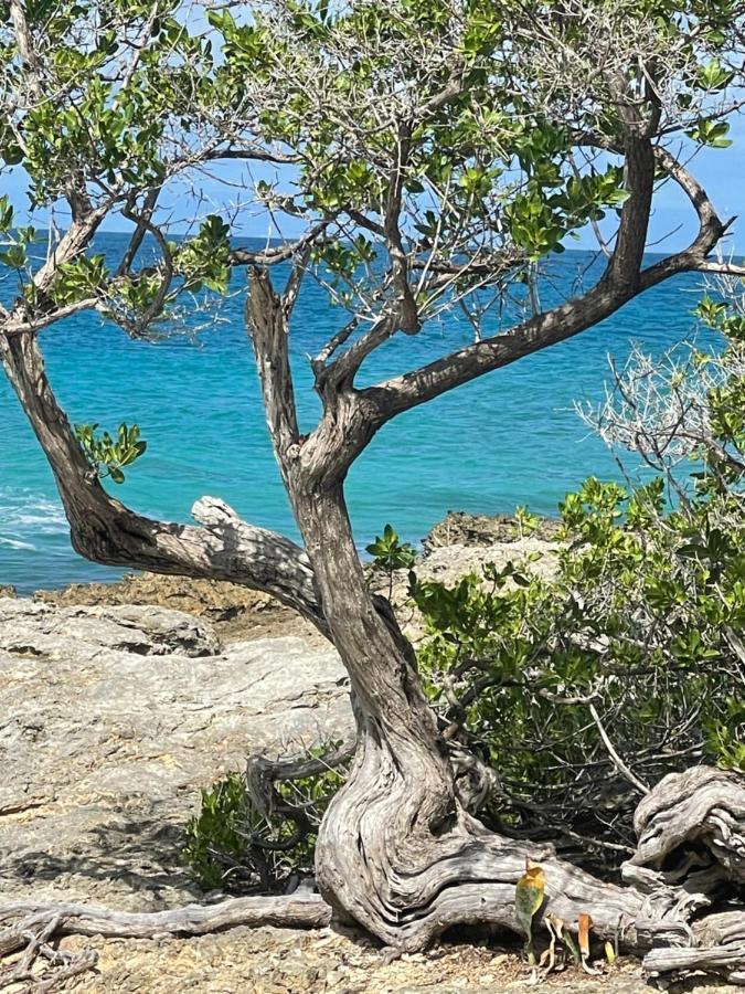 Cote Plage Saint-Francois  Dış mekan fotoğraf